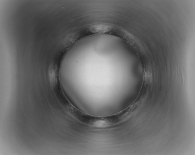 X0000113280460200909280955