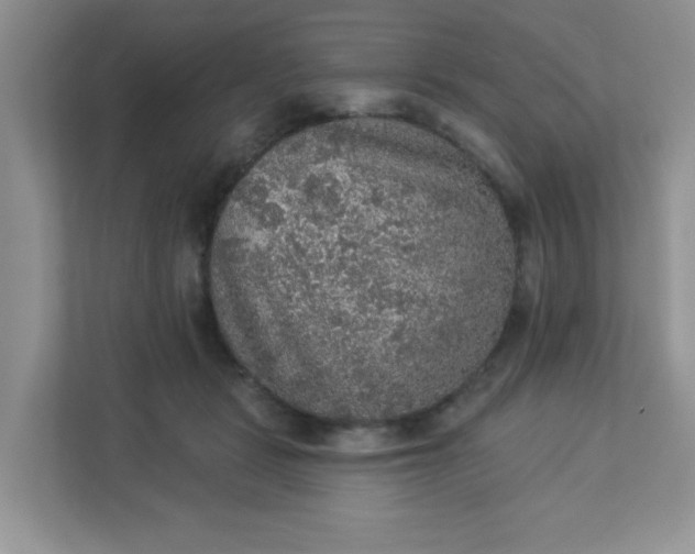 X0000113280461200909280955