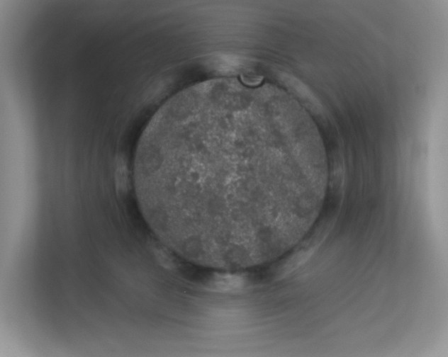 X0000113280469200909280955