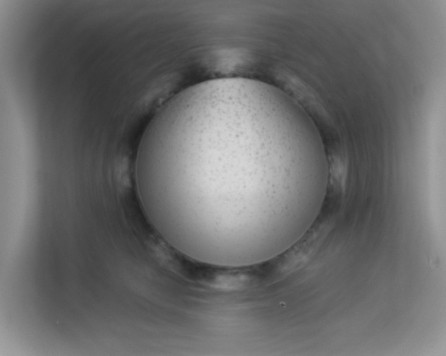 X0000113280470200909280955