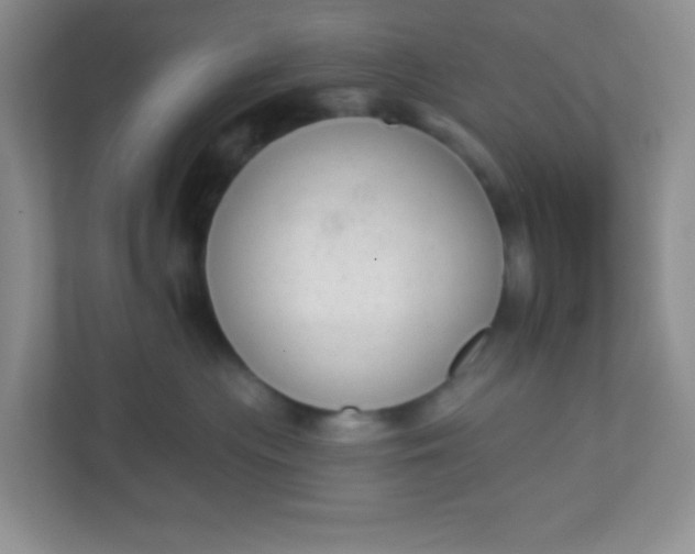 X0000113280477200909280955