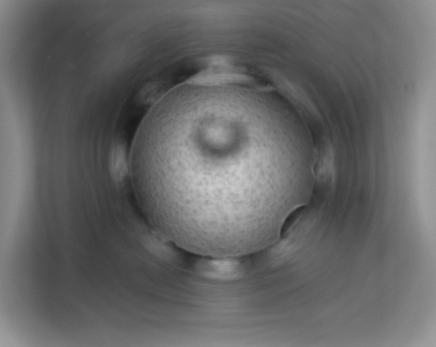 X0000113280478200909280955