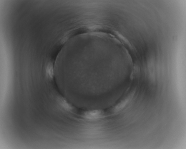 X0000113280479200909280955