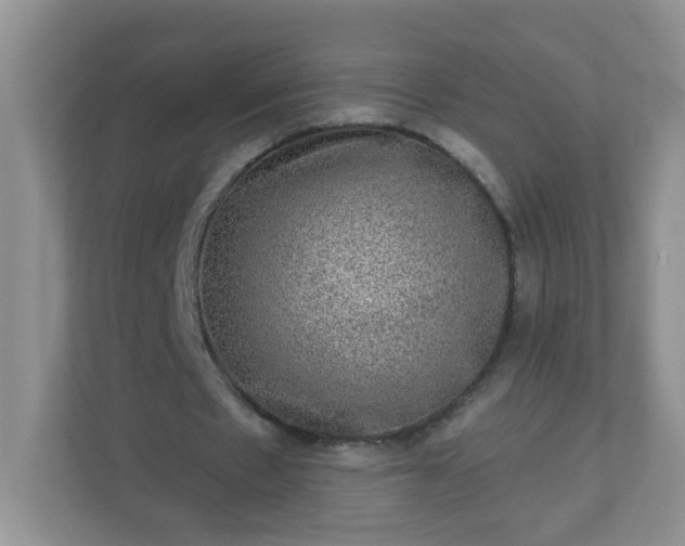 X0000113280481200909280955