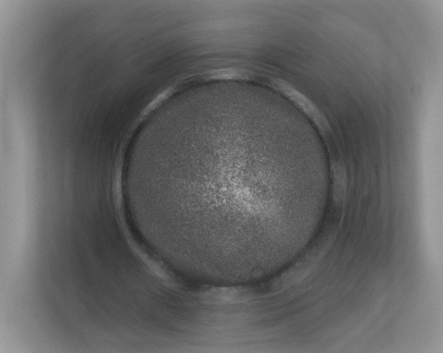 X0000113280482200909280955