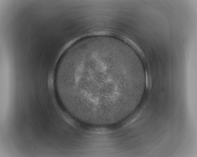 X0000113280483200909280955