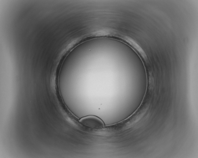 X0000113280485200909280955