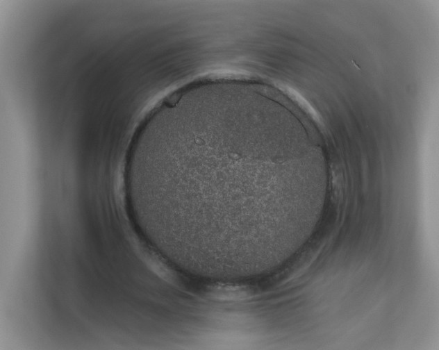 X0000113280487200909280955