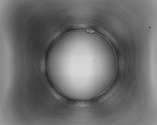 X0000113280489200909280955