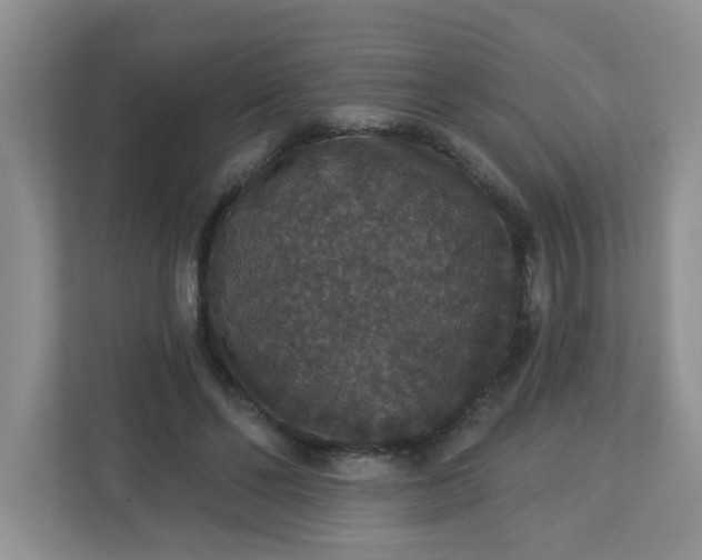 X0000113280494200909280955