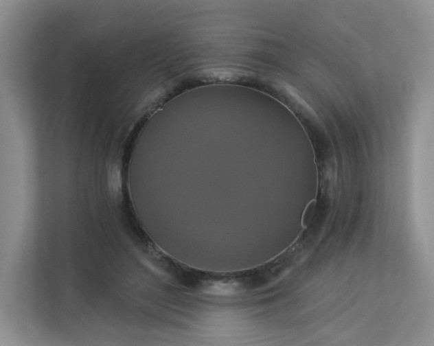 X0000113280500200909280955