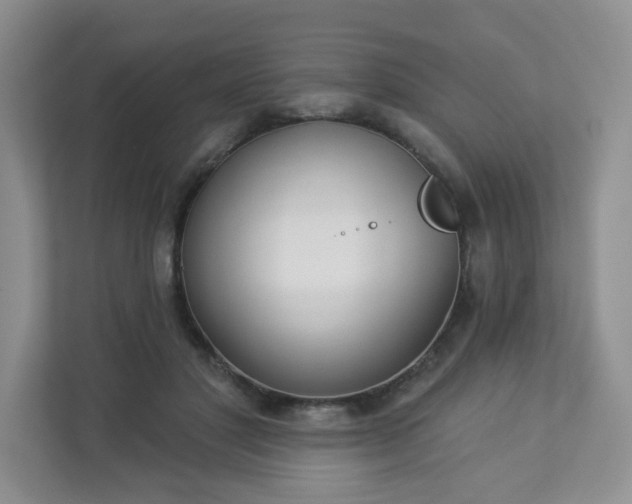 X0000113280501200909280955