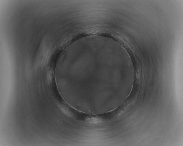 X0000113280503200909280954