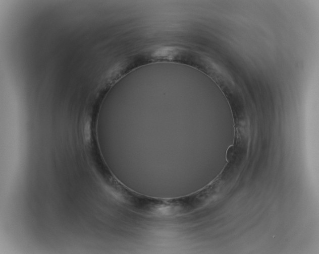 X0000113280504200909280954