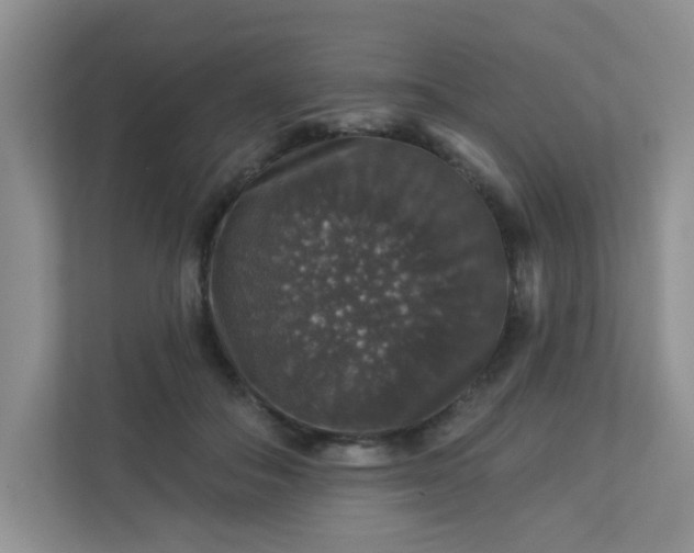 X0000113280506200909280954