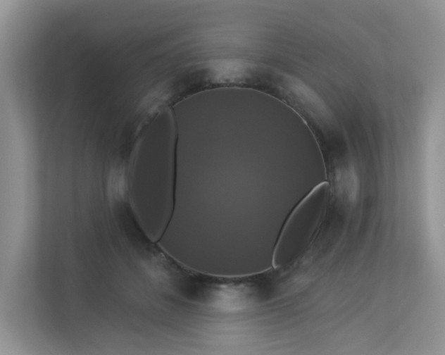 X0000113280508200909280954