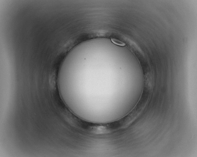 X0000113280509200909280954