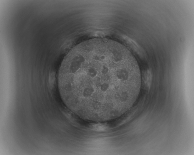 X0000113280511200909280954