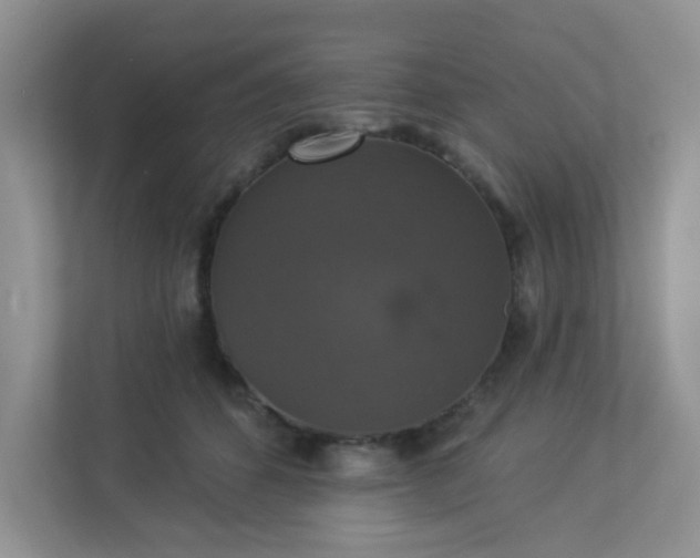 X0000113280512200909280954