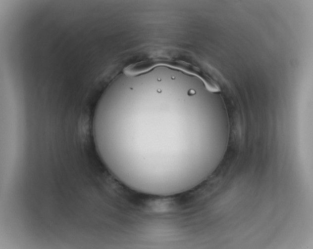 X0000113280513200909280954