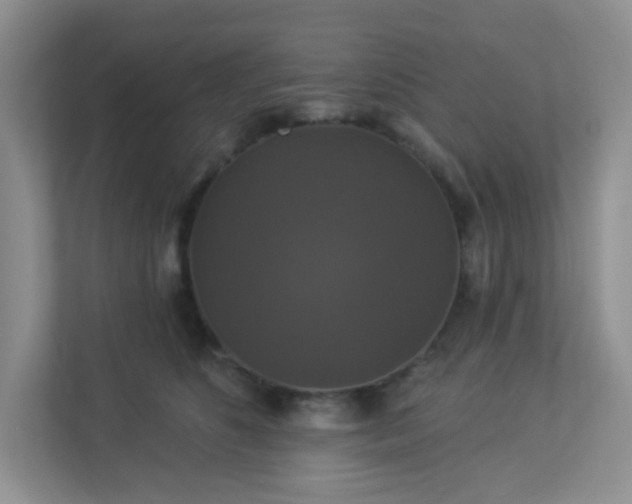 X0000113280516200909280954