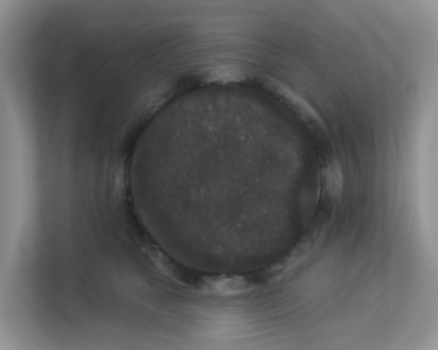 X0000113280517200909280954