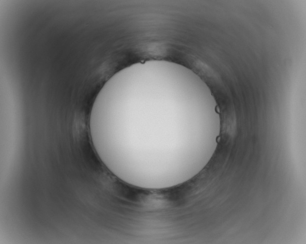 X0000113280518200909280954