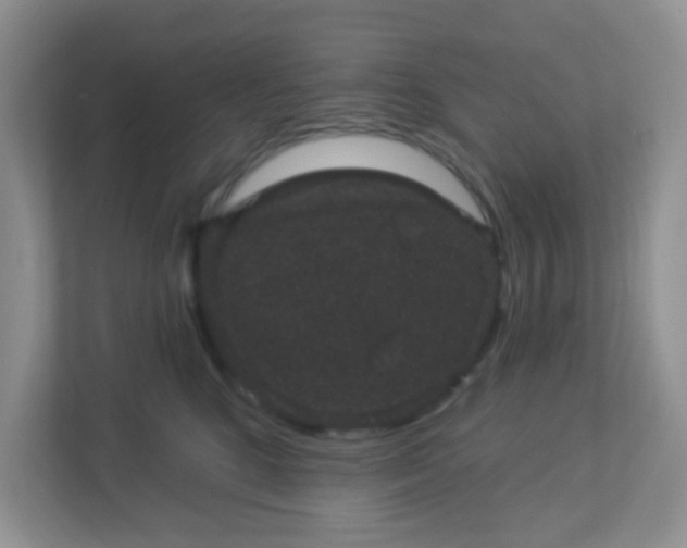 X0000113280520200909280954