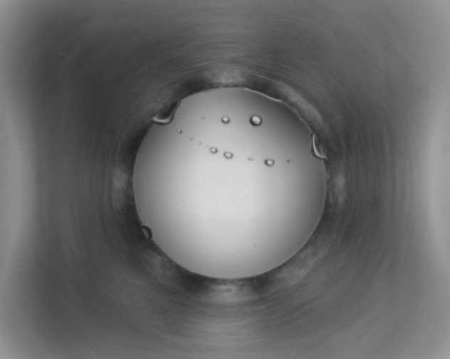 X0000113280521200909280954