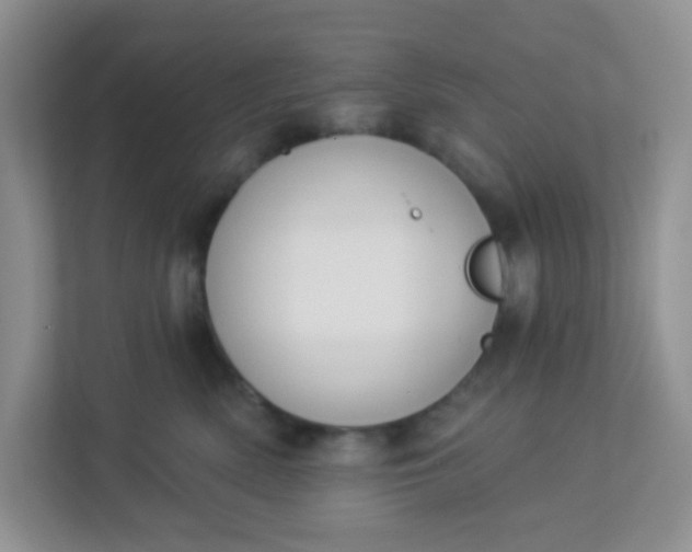 X0000113280522200909280954