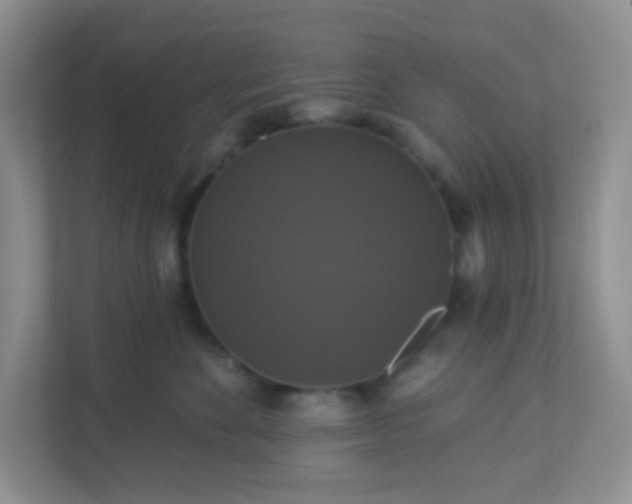 X0000113280524200909280954