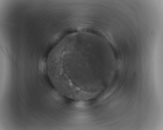 X0000113280527200909280954