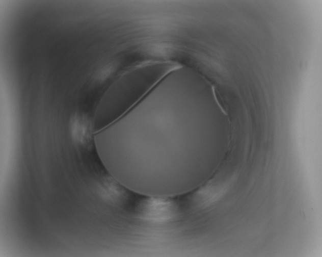 X0000113280528200909280954