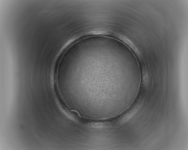 X0000113280530200909280954