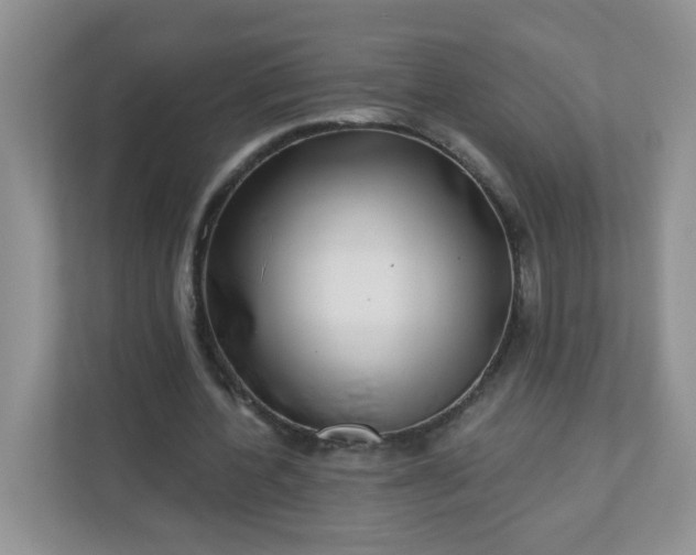 X0000113280532200909280954