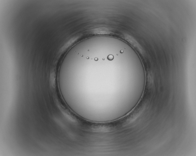 X0000113280533200909280954