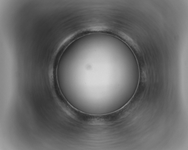 X0000113280535200909280954