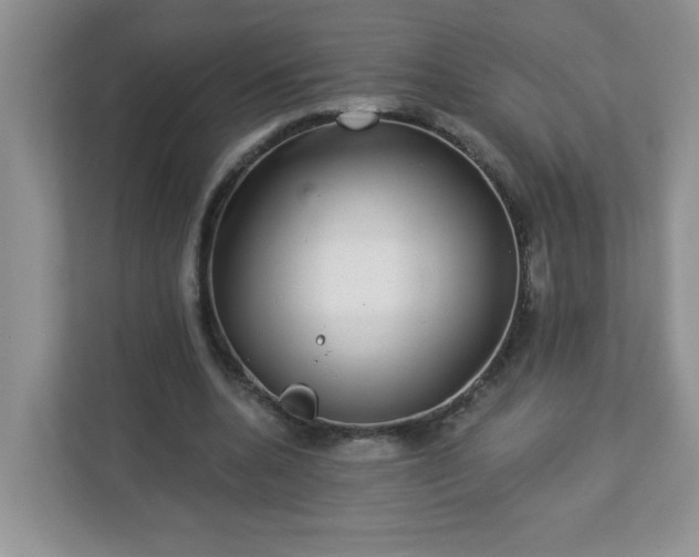 X0000113280536200909280954