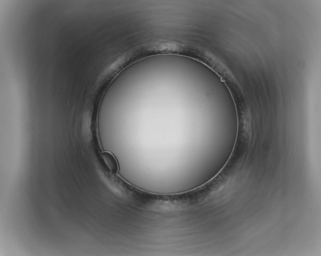 X0000113280538200909280954