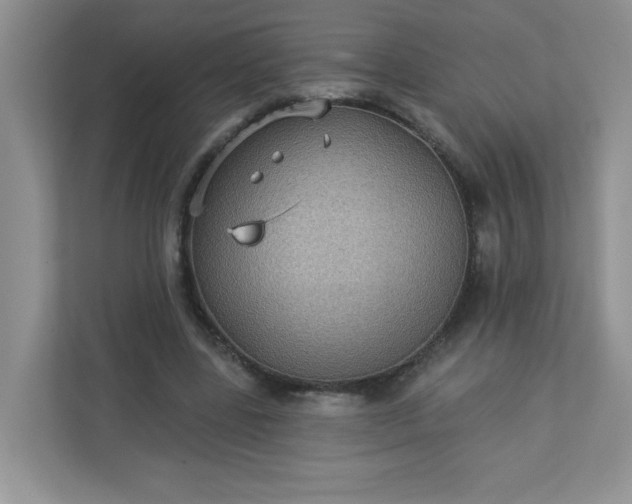 X0000113280539200909280954