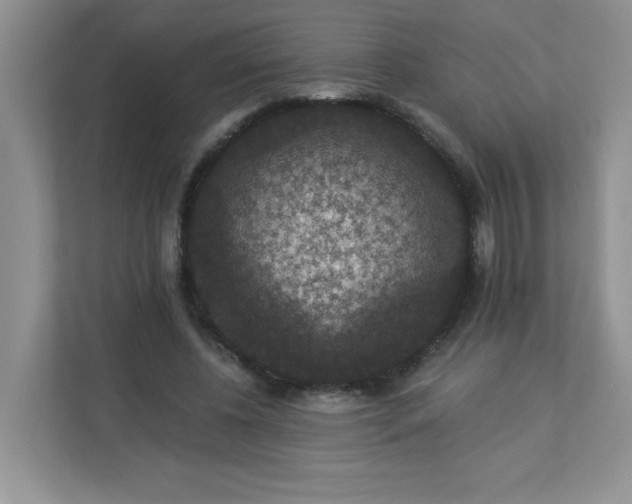 X0000113280540200909280954