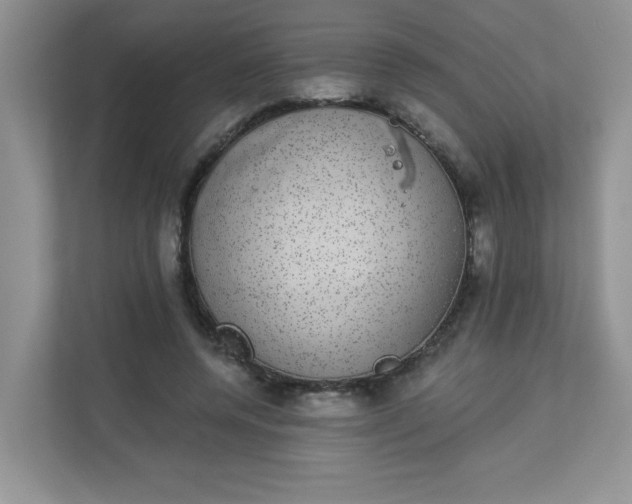 X0000113280544200909280954