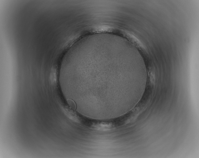 X0000113280546200909280954