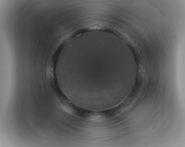 X0000113280547200909280954