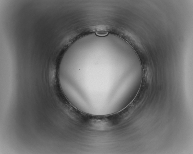 X0000113280548200909280954