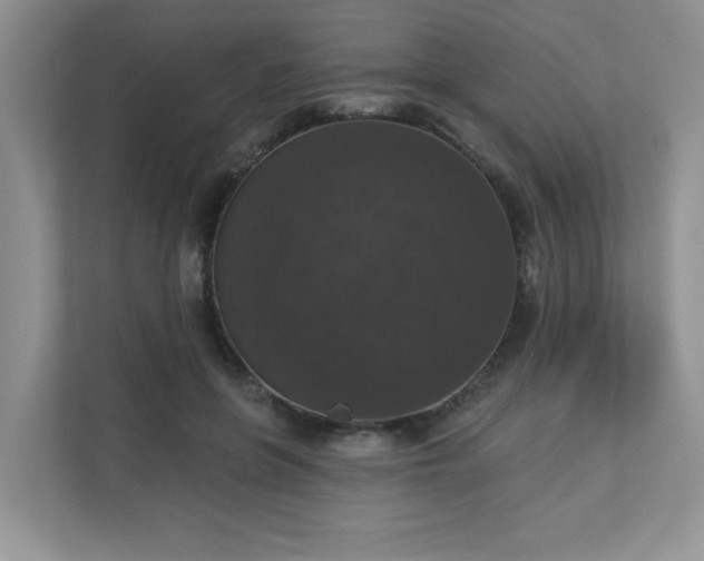 X0000113280551200909280954