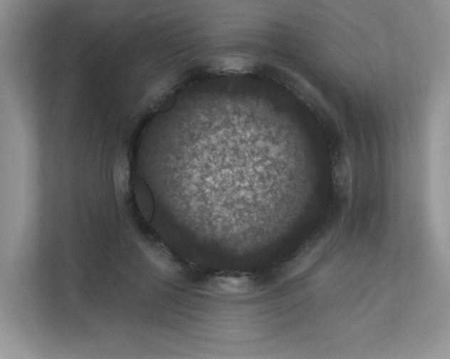 X0000113280552200909280954