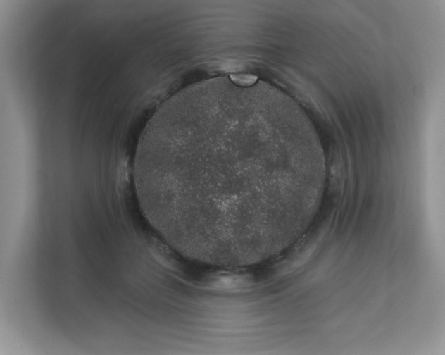 X0000113280555200909280954