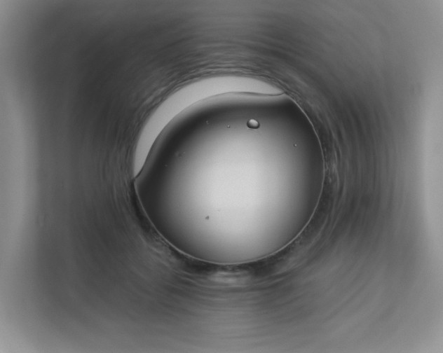 X0000113280556200909280954