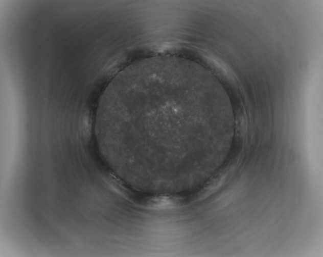 X0000113280558200909280954